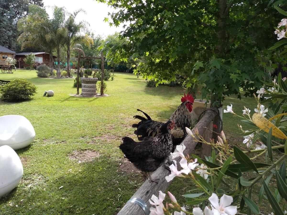 Resort Pualy & 4*