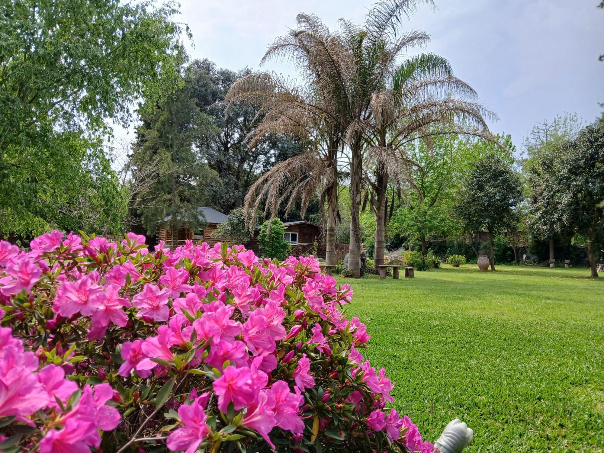 Pualy & Resort